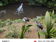 -泉州海丝野生动物世界