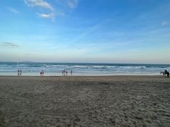 -味餐厅·海鲜·火锅·自助餐