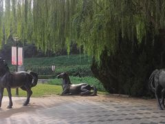 -元大都城垣遗址公园