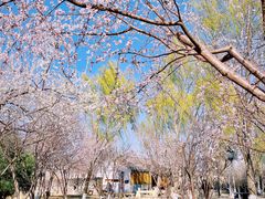 -三里河公园