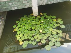 -无锡动物园·太湖欢乐园