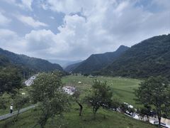 -狮子沟牧场