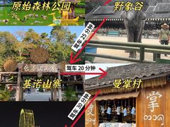 -西双版纳傣族园