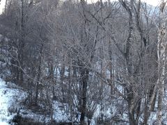 -亚布力新体委滑雪场
