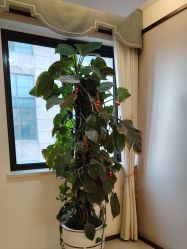 -JustHer宁波珈禾医疗美容医院