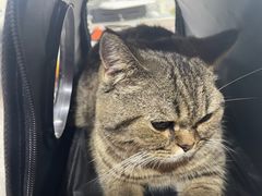 -佳雯宠物医院·皮肤科·内外科(春晓路分院)