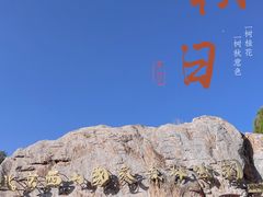 -北京西山国家森林公园