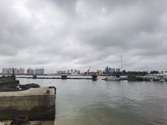 -东郊椰林