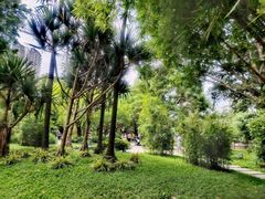 -晓港公园