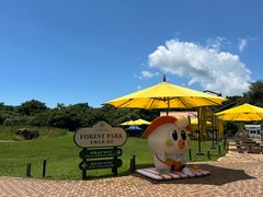 -济州森林小火车生态公园