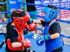 -大焱搏击·泰拳·拳击俱乐部(大柏树店)