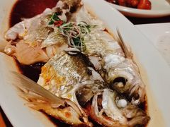 -几荷·恰似故人来(秀水广场店)