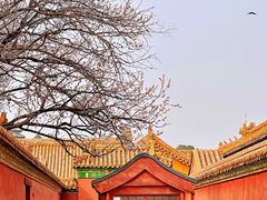 -故宫博物院(故宫)