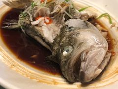 清蒸鲈鱼-眉州东坡(北苑华贸店)