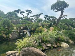 -罗红摄影艺术馆