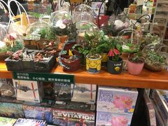 -矢量咖啡(万象汇店)