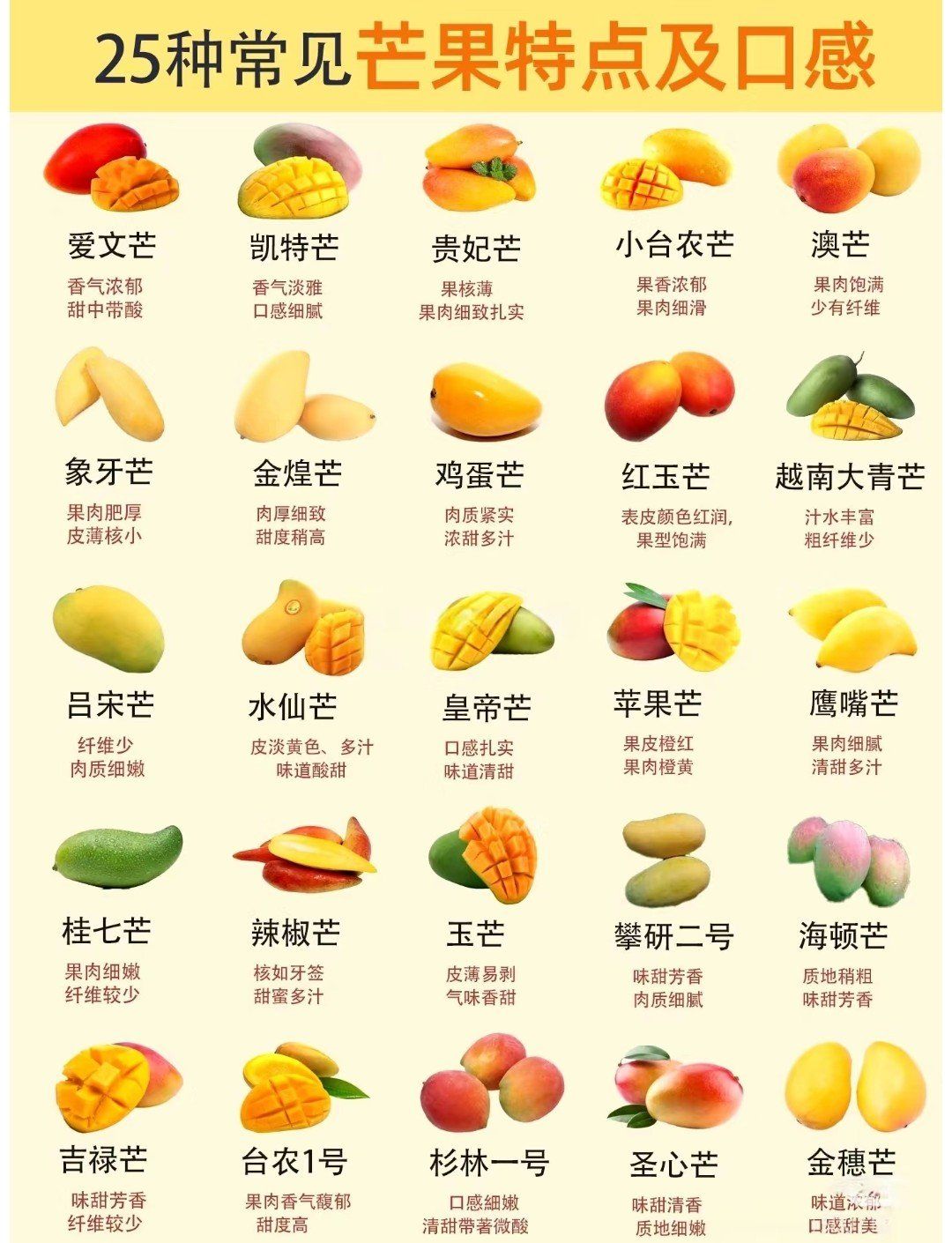 芒果科普