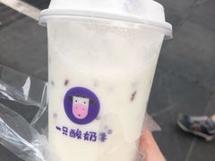 -一只酸奶牛(八一路店)