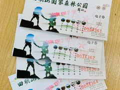 -四明山国家森林公园