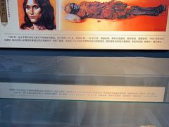 -巴音郭楞蒙古自治州博物馆