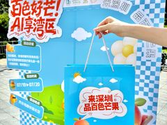-京东电器城市旗舰店(深圳华强北店)