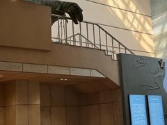 -诸城市恐龙博物馆