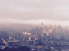 -南山植物园