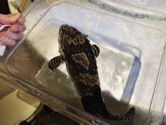 -ONE FULL 古董港式海鲜火锅