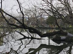 -西湖游船