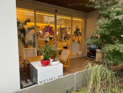 -AGE LOCK 锁龄美肌