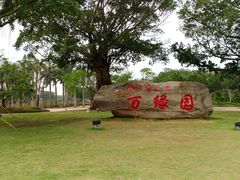 -万绿园