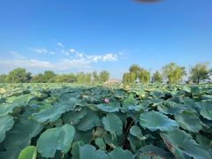 -云龙湖阿喆米线(云龙湖店)