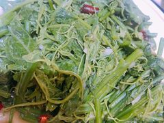 清炒洋瓜尖-云上千禾(水上店)