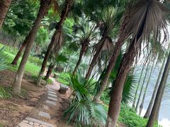-三水森林公园