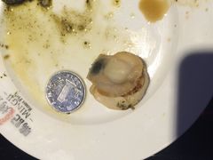 扇贝-鸣记脆皮烤鱼(铁西店)