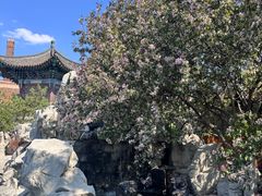 -张学良旧居陈列馆