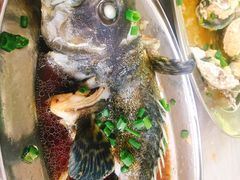 清蒸老虎斑-红月湾海鲜饭店•沙滩海景(双月湾店)