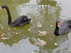 -上海野生动物园