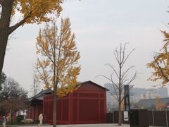 -大雁塔北广场音乐喷泉