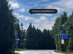 -巷子宽·酸菜鱼(迪士尼小镇店)