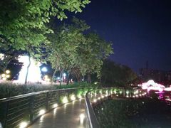 -映月湖公园