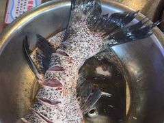 -好灶头妈妈菜·柴火灶台鱼·千岛湖土菜地标美食