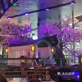 上菜太慢