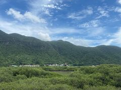 -大澳