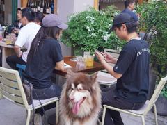 -RAC BAR(安福路店)