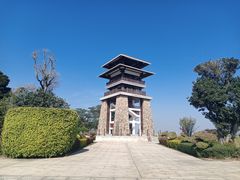 -大湾区中央湿地公园