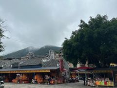 -悦城龙母祖庙