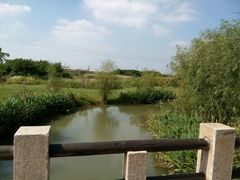 -梁鸿国家湿地公园
