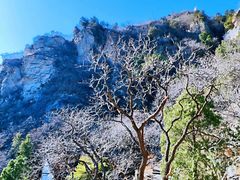 -鹫峰国家森林公园