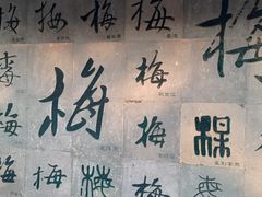 -杭州植物园
